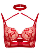 Red lace lingerie set on a white background